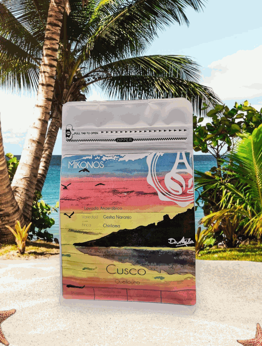 Odoo • Imagen y texto